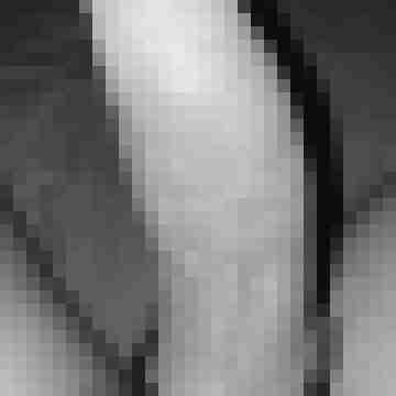diggler007