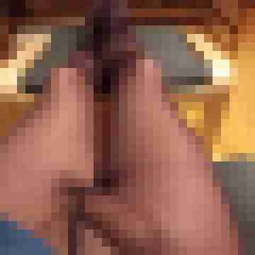 nylsex