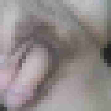 snake2811