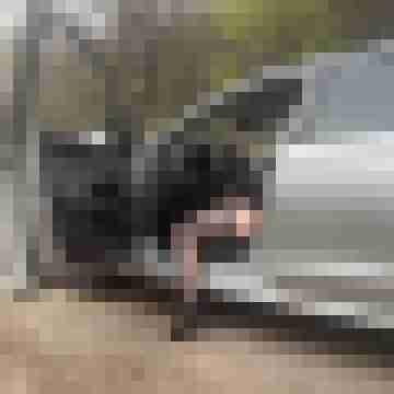 tussi_hot