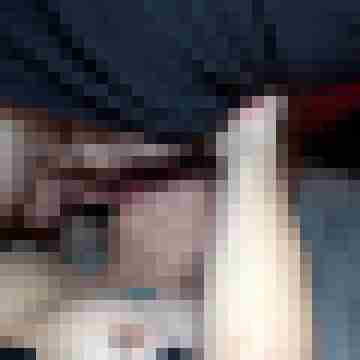 picturefreak