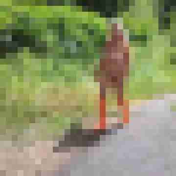 Letsy4u2c
