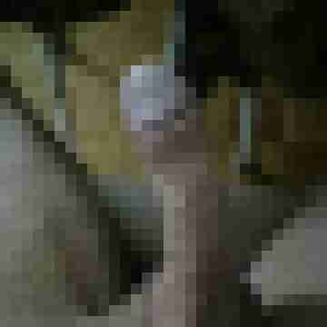 inliner2003