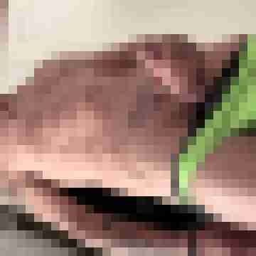 Mogly59