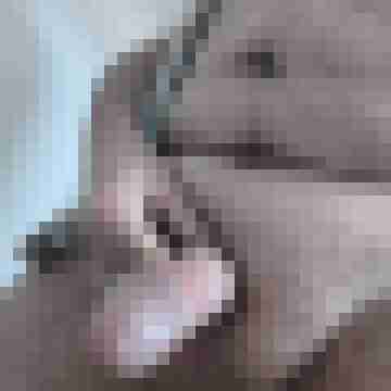 flinkezunge04