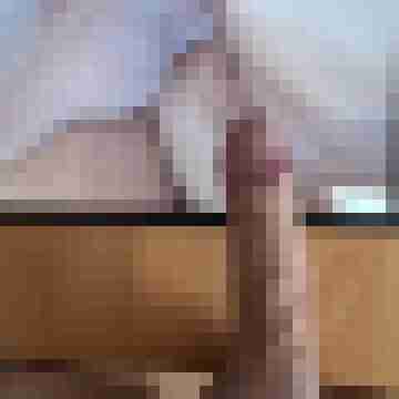 Stier73