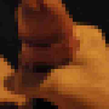 Oxballs