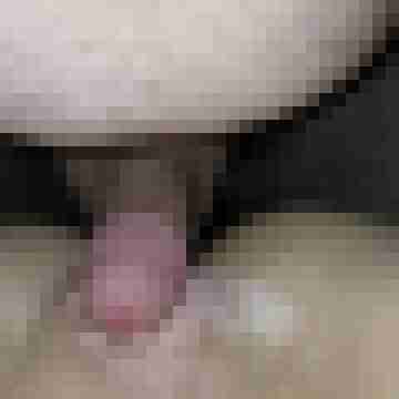AnSy