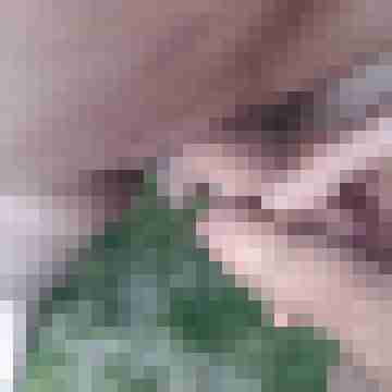 italo-freak