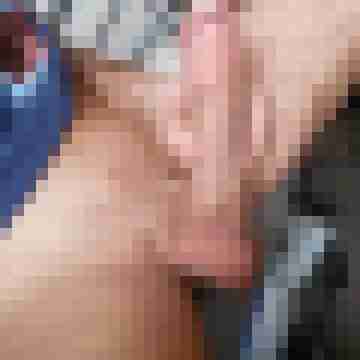 Anal_Meister