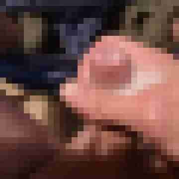 hornyxsar