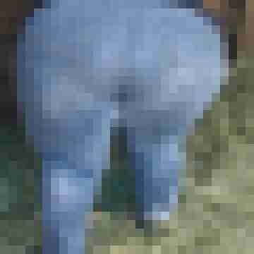 BigCouple82