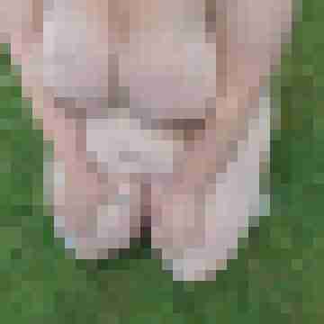 Coupleforsex