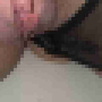 AnSy
