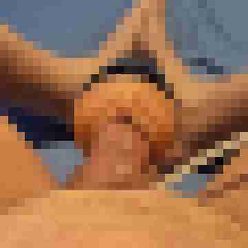 jimmbob006