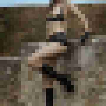 Phorus