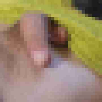 zero_x88