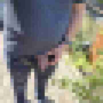 mikecam1277