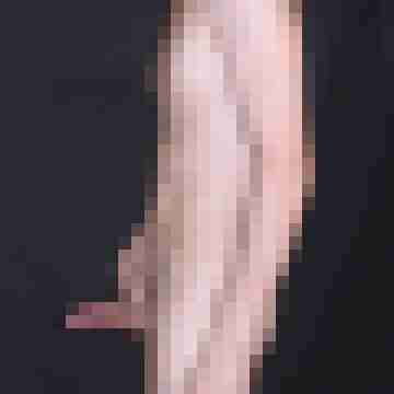 seatiger