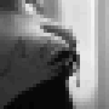 Lustpaar_48527