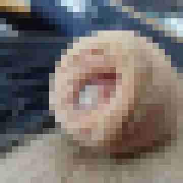 behaartersack
