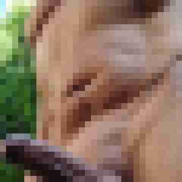 Bubsi11