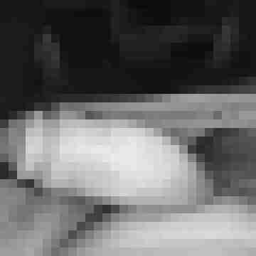 MiMO-84
