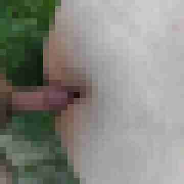 buschiMuschi_pralleEier