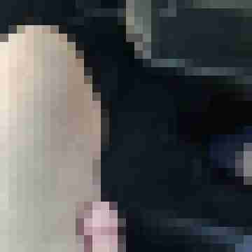 Romeosixtynine