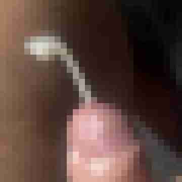 fishmc