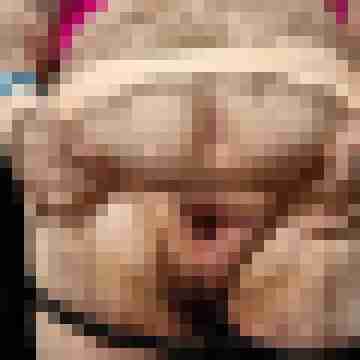 Busenmann69