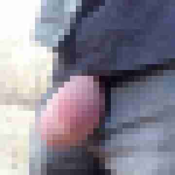 bikat1