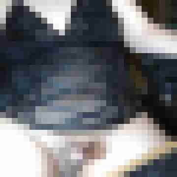 tuledo66