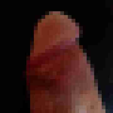 Druide83