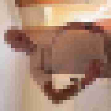 Mogly59