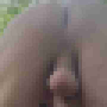 spermaschuss