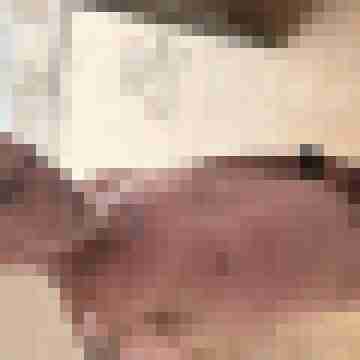 Mogly59
