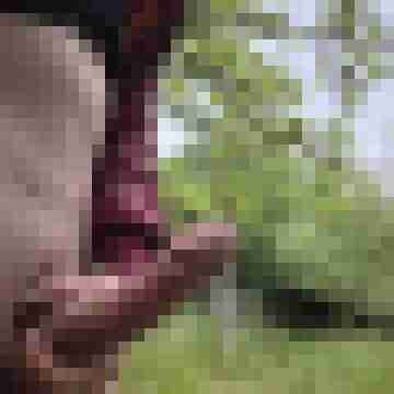 Dater