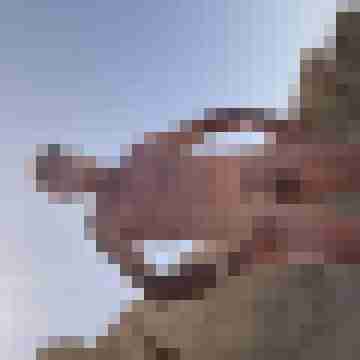 Mogly59