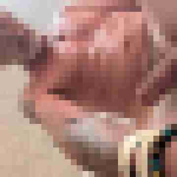 Mogly59