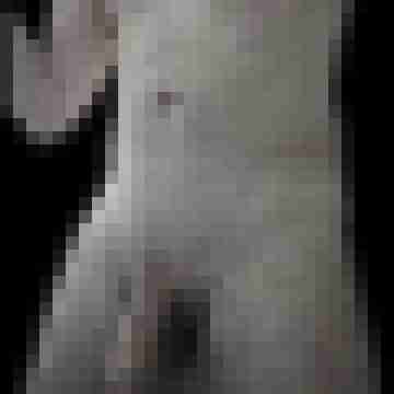 eroegoxxl
