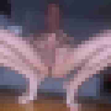 mpgrandios