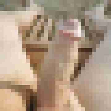 AOSpritz
