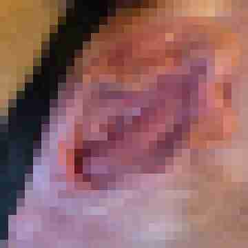 AnSy