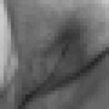petexx23