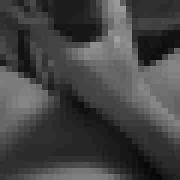 C_391