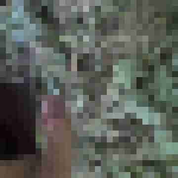 Dhaag