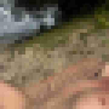 GuyGivesSex