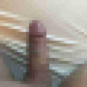 Ditsch8