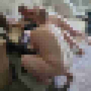 Fischi67